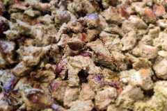 our-events-2025-12-19-at-3.50.08-PM-1